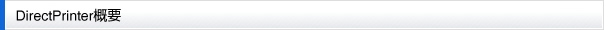 DirectPrinter概要